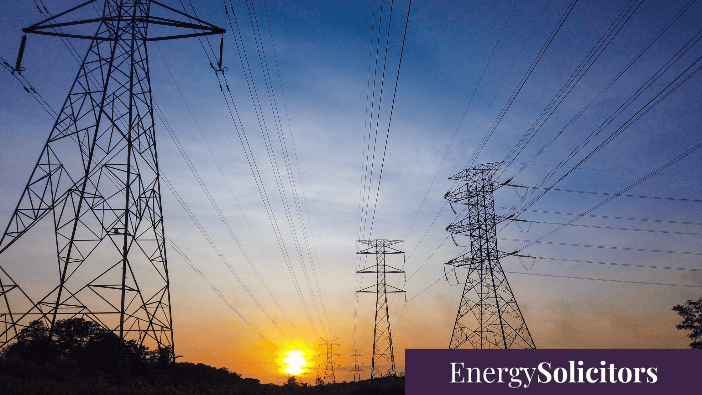 Collapse of Tomato Energy: What It Means for Consumers and the Energy Market