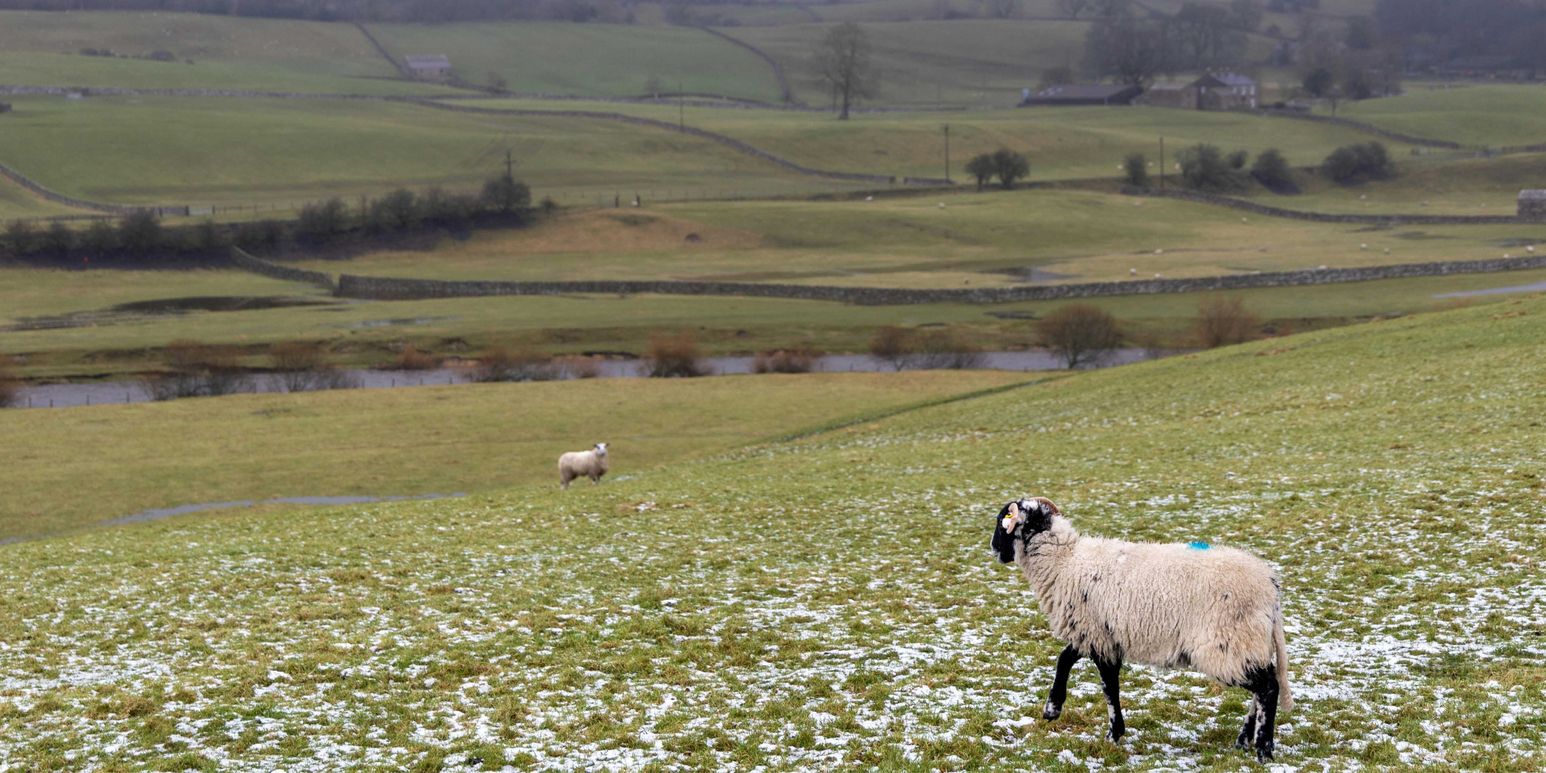 Energy Costs, Winter Pressures and Hidden Commissions